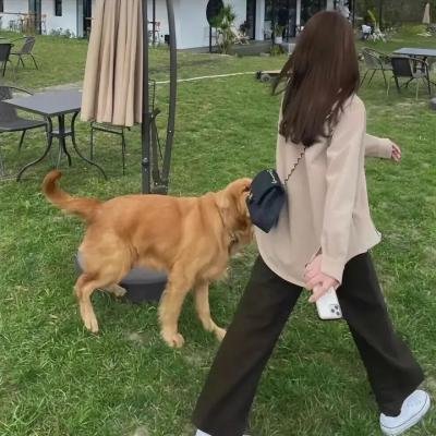 错位囧途